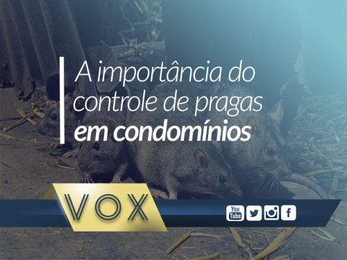 Controle de pragas em condomínios - Vox Administradora
